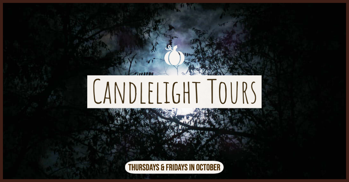 Schenectady Candlelight Tours