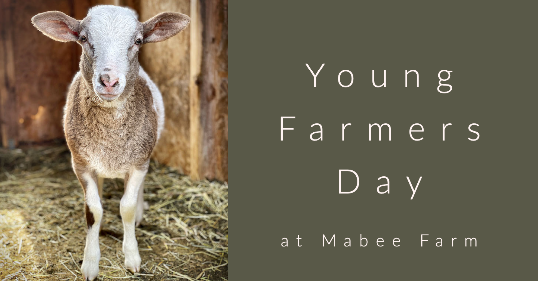 mabee young farmers day